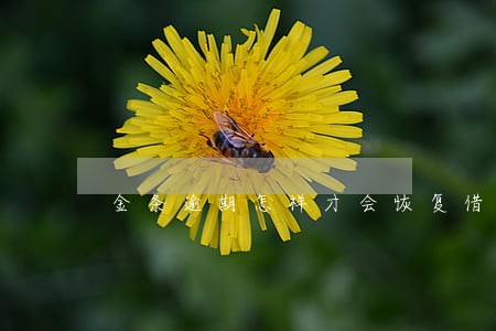 金条逾期怎样才会恢复借款 金条逾期怎样才会恢复借款