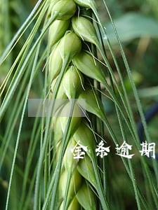金条逾期户籍地电话打电话来 金条逾期户籍地电话打电话来