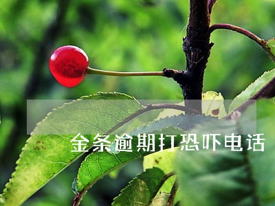 金条逾期打恐吓电话