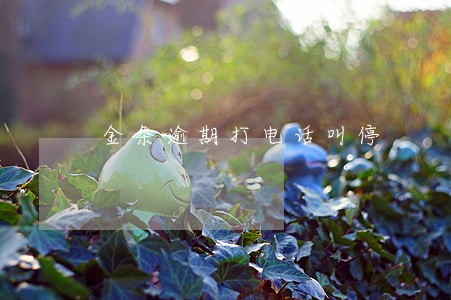 金条逾期打电话叫停
