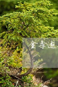 金条逾期打电话过来催 金条逾期打电话过来催