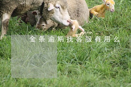 金条逾期找客服有用么 金条逾期找客服有用么