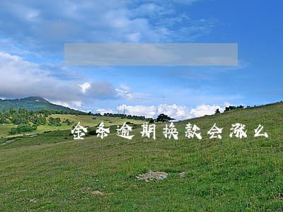 金条逾期换款会涨么