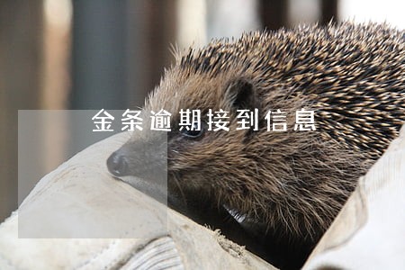 金条逾期接到信息 金条逾期接到信息