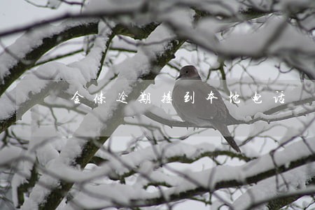 金条逾期接到本地电话 金条逾期接到本地电话