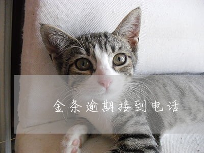 金条逾期接到电话 金条逾期接到电话