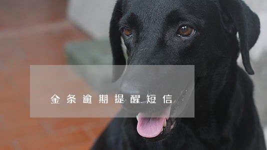 金条逾期提醒短信 金条逾期提醒短信