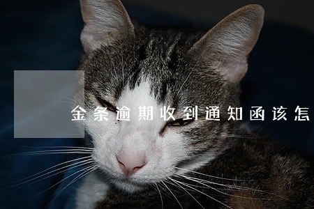金条逾期收到通知函该怎么处理