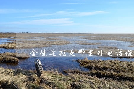 金条逾期是哪里打电话催收 金条逾期是哪里打电话催收