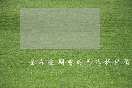 金条逾期暂时无法提供借款服务 金条逾期暂时无法提供借款服务