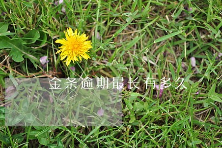 金条逾期最长有多久