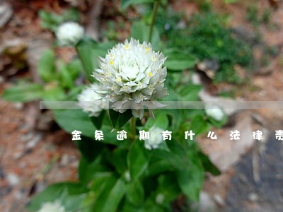 金条逾期有什么法律责任 金条逾期有什么法律责任