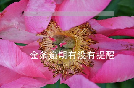 金条逾期有没有提醒