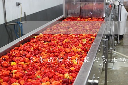 金条逾期有补救的方法吗