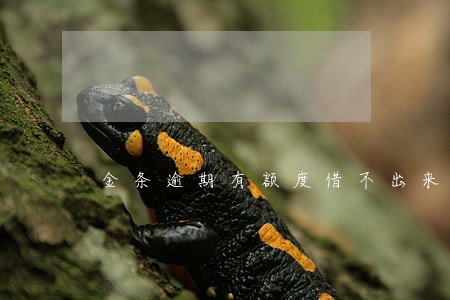 金条逾期有额度借不出来