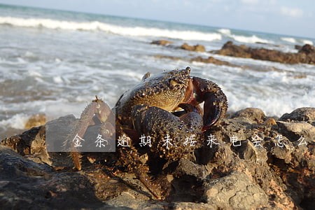 金条逾期未接来电会怎么样 金条逾期未接来电会怎么样