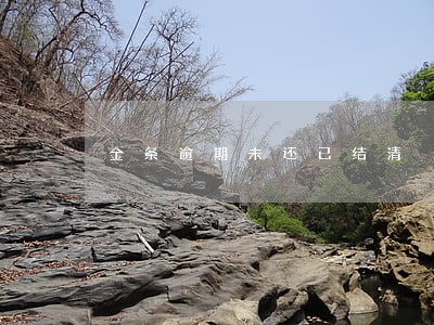金条逾期未还已结清 金条逾期未还已结清