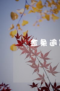 金条逾期未还真的会上门吗 金条逾期未还真的会上门吗