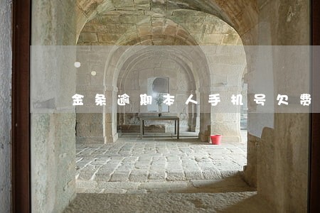 金条逾期本人手机号欠费打不通 金条逾期本人手机号欠费打不通