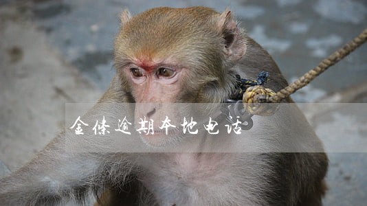 金条逾期本地电话