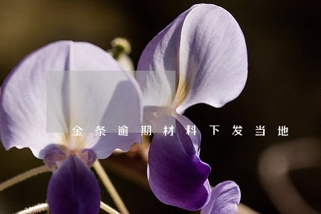 金条逾期材料下发当地 金条逾期材料下发当地