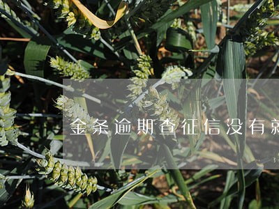 金条逾期查征信没有就是没有吗 金条逾期查征信没有就是没有吗