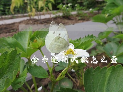 金条逾期次数怎么查 金条逾期次数怎么查