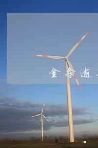 金条逾期每个月还一点