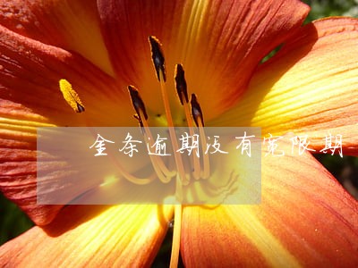 金条逾期没有宽限期