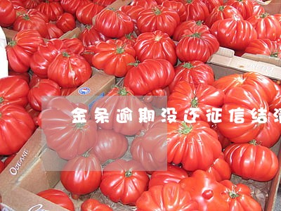 金条逾期没还征信结清 金条逾期没还征信结清