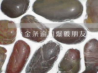 金条逾期爆破朋友 金条逾期爆破朋友