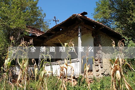 金条逾期立案么 金条逾期立案么
