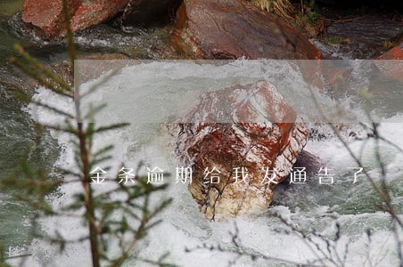 金条逾期给我发通告了 金条逾期给我发通告了