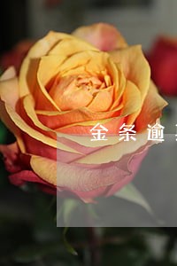 金条逾期给联系人打电话 金条逾期给联系人打电话