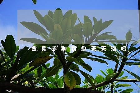 金条逾期罚息天天涨吗 金条逾期罚息天天涨吗
