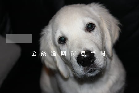 金条逾期罚息高吗 金条逾期罚息高吗
