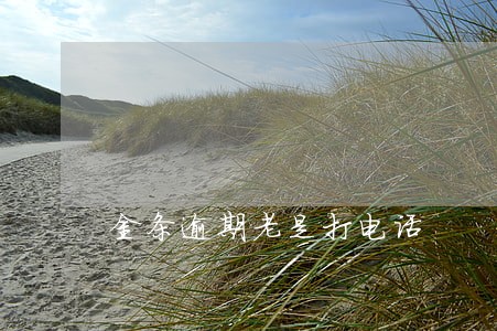 金条逾期老是打电话 金条逾期老是打电话