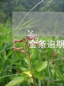 金条逾期联系电话 金条逾期联系电话