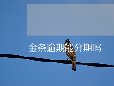 金条逾期能分期吗 金条逾期能分期吗