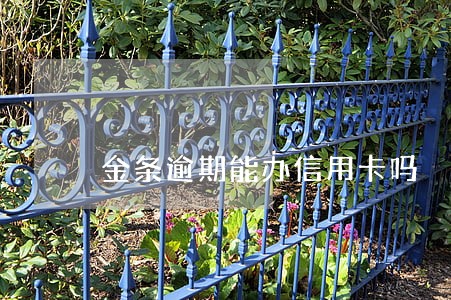 金条逾期能办信用卡吗 金条逾期能办信用卡吗