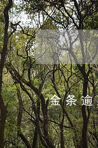 金条逾期能申请信用卡吗