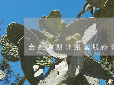 金条逾期能跟客服商量吗 金条逾期能跟客服商量吗