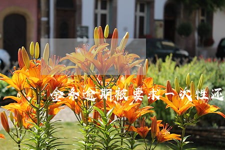 金条逾期被要求一次性还清 金条逾期被要求一次性还清