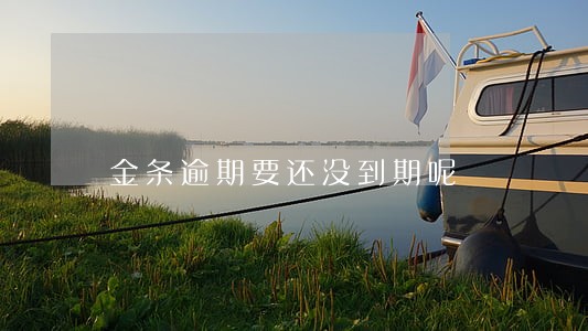 金条逾期要还没到期呢 金条逾期要还没到期呢