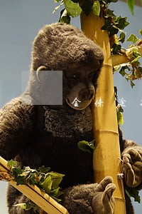 金条逾期让我还全额 金条逾期让我还全额