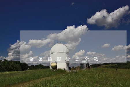 金条逾期让还全款 金条逾期让还全款