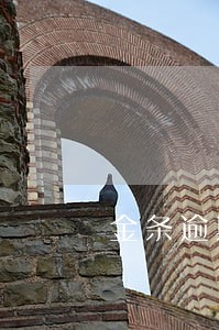 金条逾期记录几年能消除 金条逾期记录几年能消除