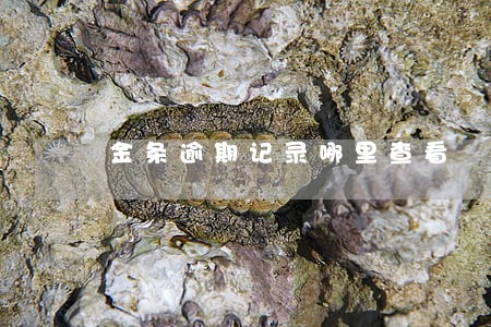 金条逾期记录哪里查看 金条逾期记录哪里查看