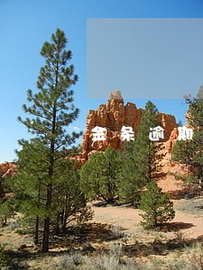 金条逾期记录在哪查看 金条逾期记录在哪查看