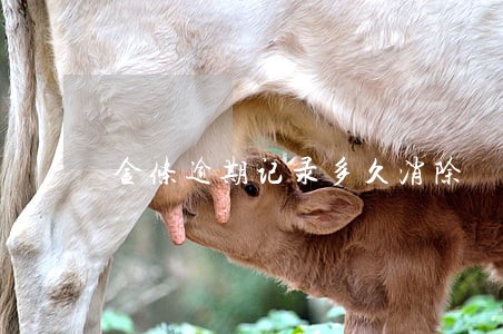 金条逾期记录多久消除 金条逾期记录多久消除
